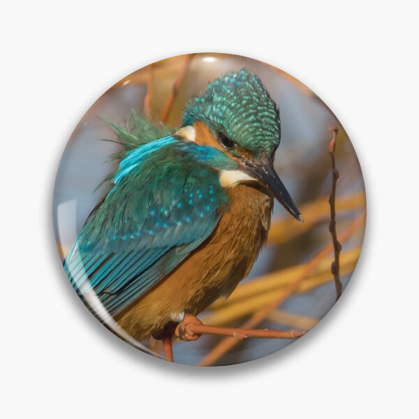 Item preview, Common Kingfisher designed and sold by LaurenTucker.