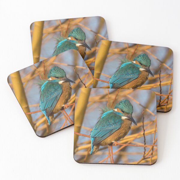 Item preview, Common Kingfisher designed and sold by LaurenTucker.
