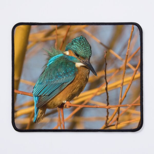 Item preview, Common Kingfisher designed and sold by LaurenTucker.