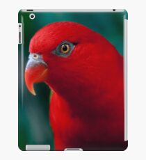 Chattering Lory iPad Case/Skin