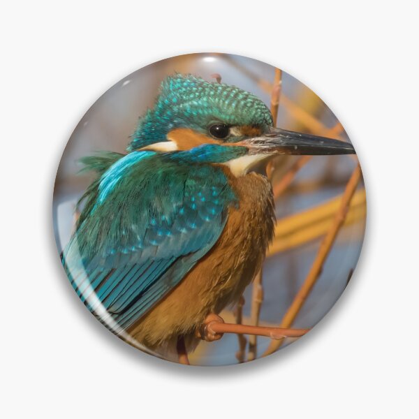 Item preview, Common Kingfisher designed and sold by LaurenTucker.