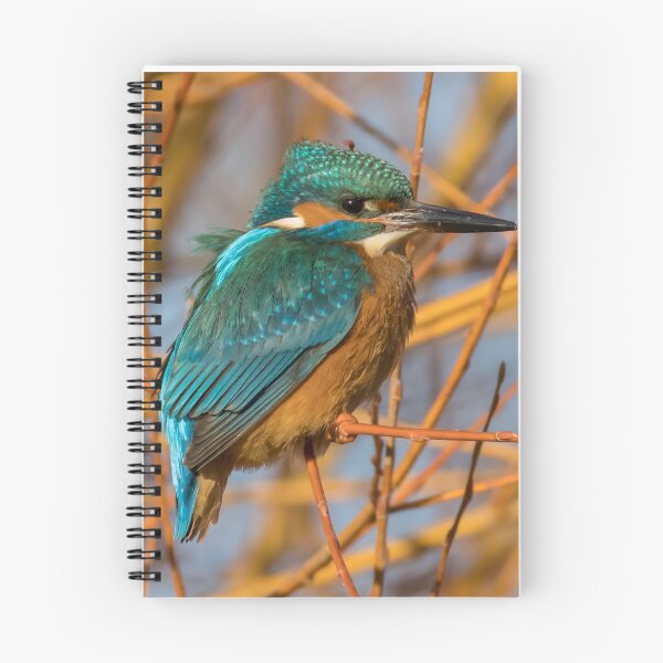 Item preview, Common Kingfisher designed and sold by LaurenTucker.