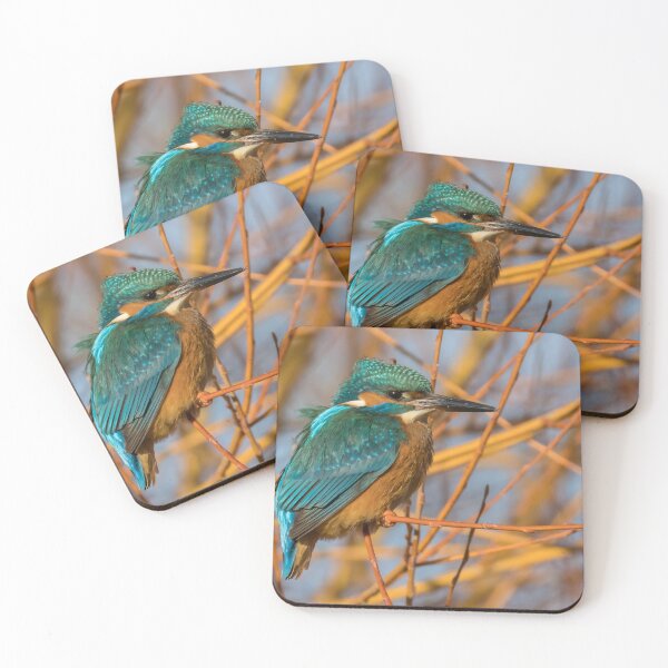 Item preview, Common Kingfisher designed and sold by LaurenTucker.