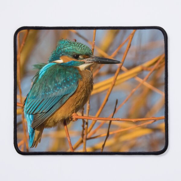 Item preview, Common Kingfisher designed and sold by LaurenTucker.