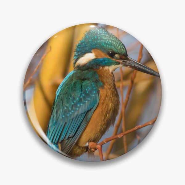 Item preview, Common Kingfisher designed and sold by LaurenTucker.