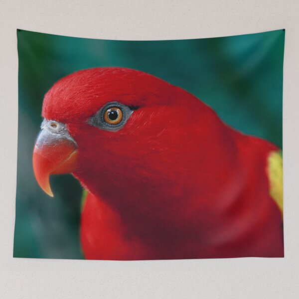 Item preview, Chattering Lory designed and sold by Didi Bingham.
