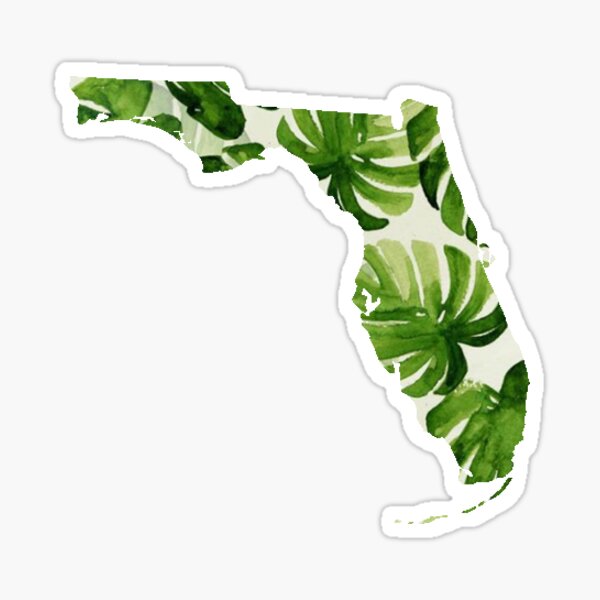 Florida Palm Sticker