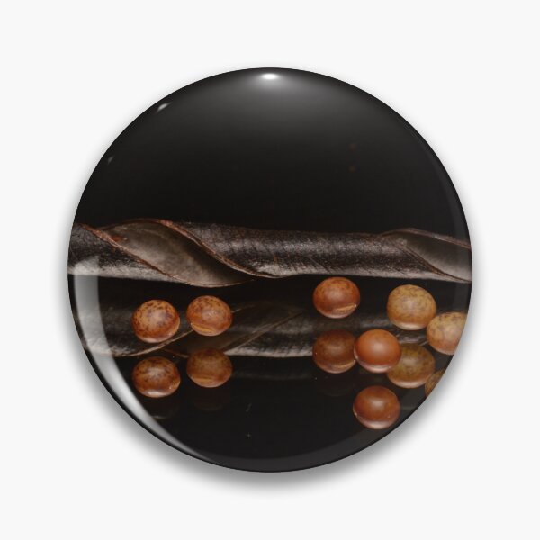 Item preview, Botanical Still Life with Seed Pod and Seeds designed and sold by Goiko7Margarita.
