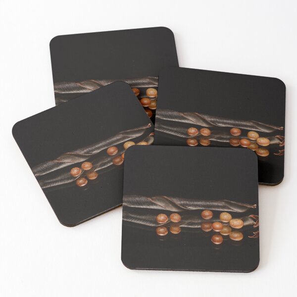 Item preview, Botanical Still Life with Seed Pod and Seeds designed and sold by Goiko7Margarita.