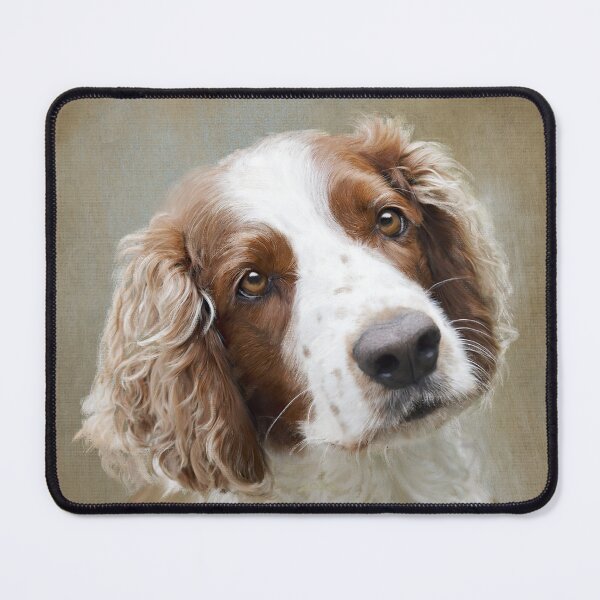 Item preview, Welsh Springer Spaniel portrait designed and sold by Rowena Cherry Art.