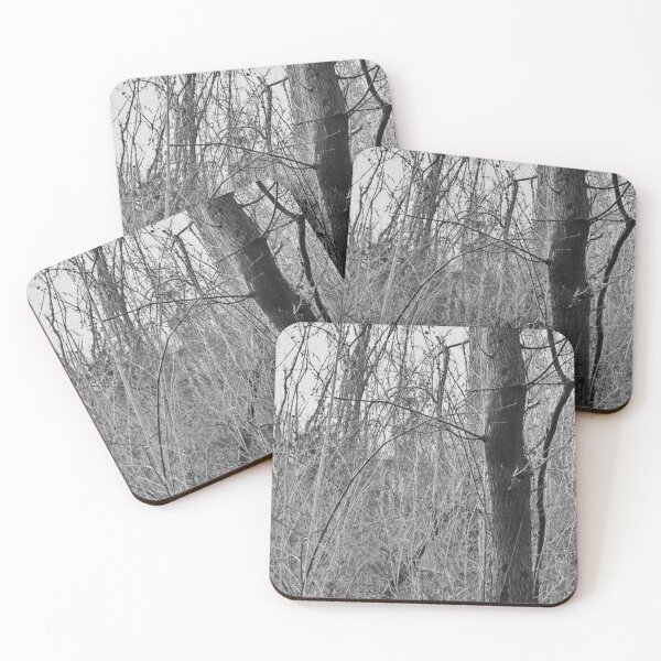 Item preview, One - Somber Forest Photograph designed and sold by Irene Estelle.