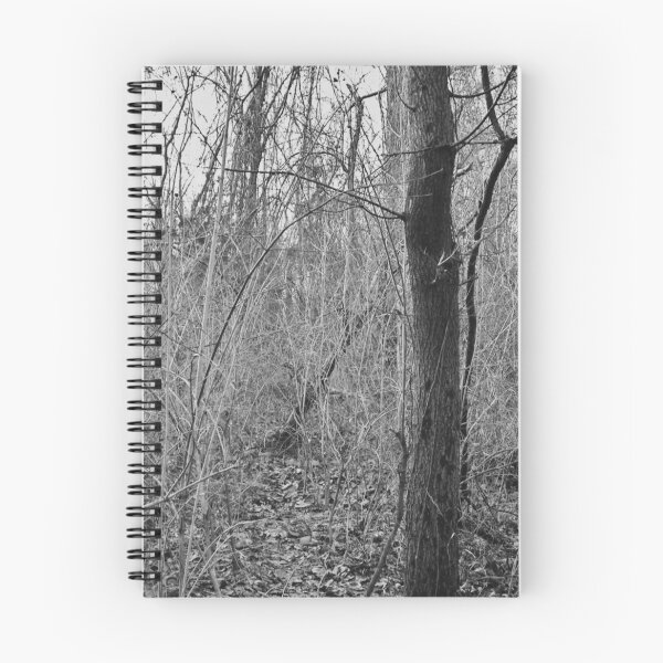 Item preview, One - Somber Forest Photograph designed and sold by Irene Estelle.