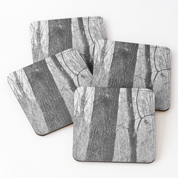 Item preview, Two - Somber Forest Photograph designed and sold by Irene Estelle.