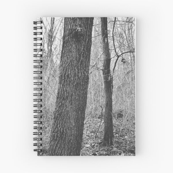 Item preview, Two - Somber Forest Photograph designed and sold by Irene Estelle.