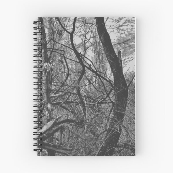 Item preview, Contortions - Melancholy Forest Silhouette Photograph designed and sold by Irene Estelle.