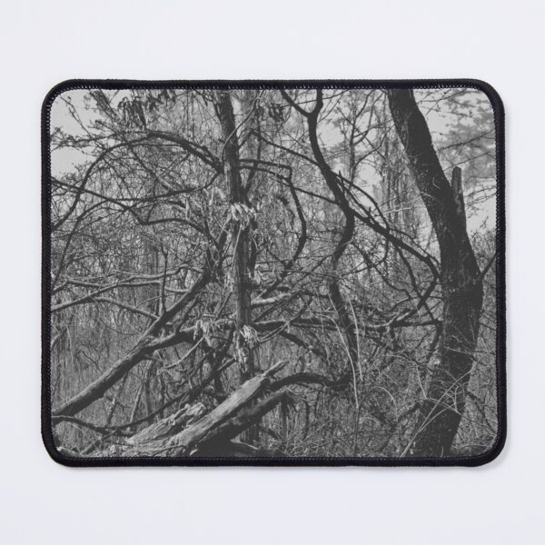 Item preview, Contortions - Melancholy Forest Silhouette Photograph designed and sold by Irene Estelle.