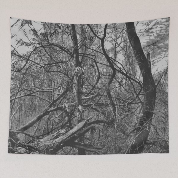 Item preview, Contortions - Melancholy Forest Silhouette Photograph designed and sold by Irene Estelle.