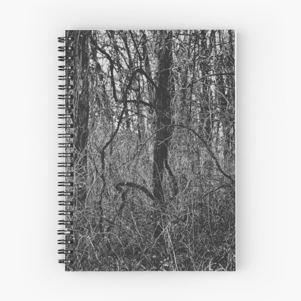 Item preview, Bramble - Melancholy Forest Silhouette Photograph designed and sold by Irene Estelle.