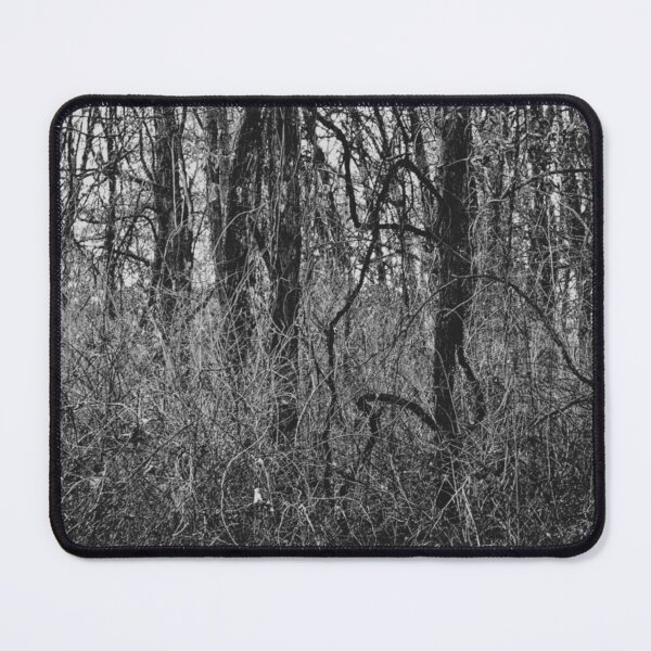 Item preview, Bramble - Melancholy Forest Silhouette Photograph designed and sold by Irene Estelle.