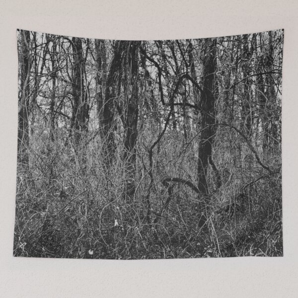 Item preview, Bramble - Melancholy Forest Silhouette Photograph designed and sold by Irene Estelle.