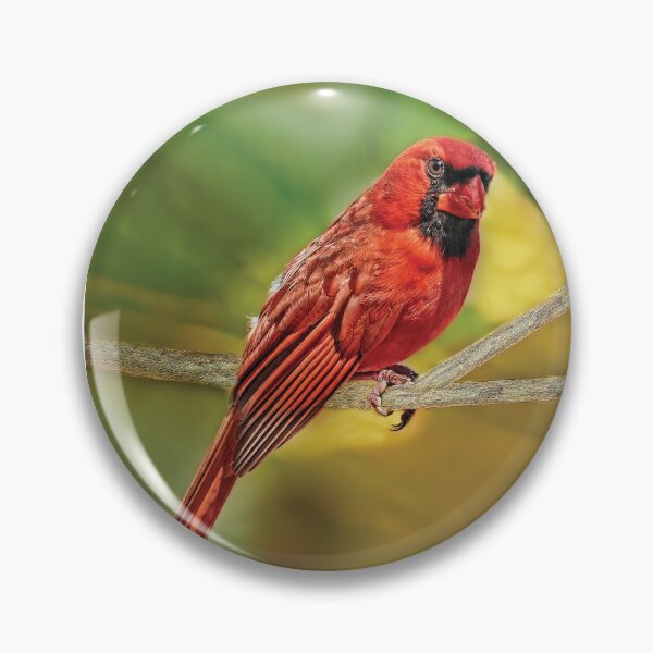 Item preview, Male Cardinal Headshot designed and sold by Kay Brewer.