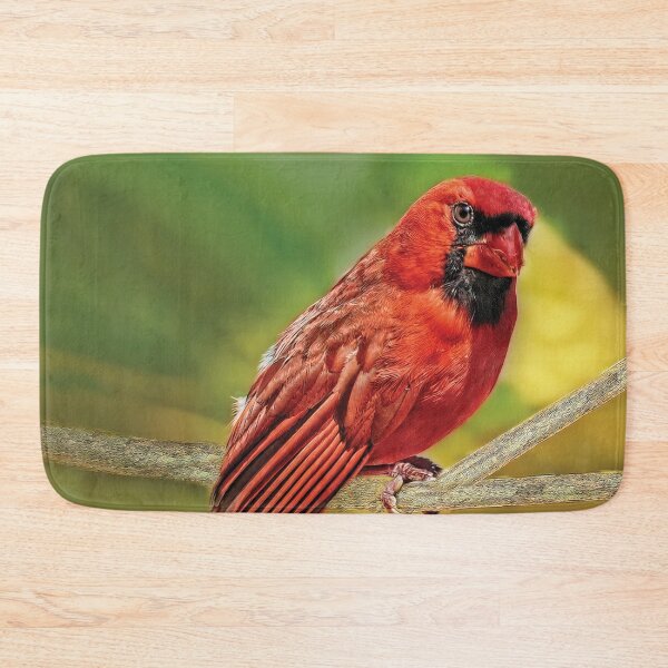 Item preview, Male Cardinal Headshot designed and sold by Kay Brewer.