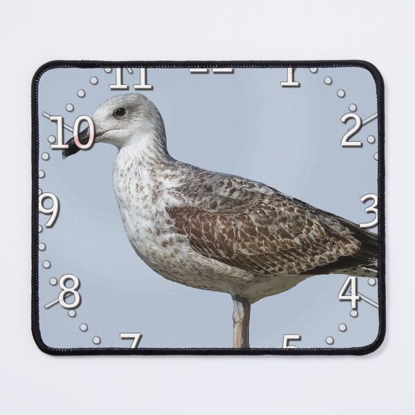 Item preview, Juvenile Gull (Hrs)b designed and sold by Alan-David.