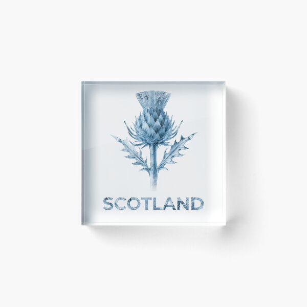 Item preview, Scottish Ice Thistle Winter Art - Scotland Frozen Flower Design designed and sold by Loom on the Loch.