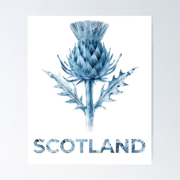 Item preview, Scottish Ice Thistle Winter Art - Scotland Frozen Flower Design designed and sold by Loom on the Loch.