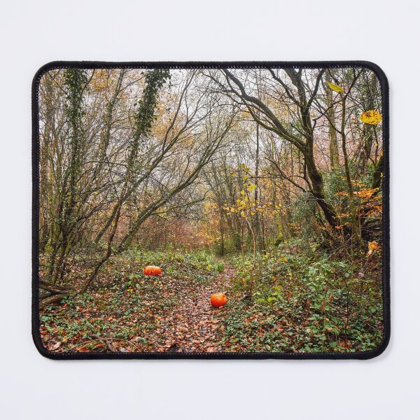 Item preview, Bargoed Autumn Woodland Scene designed and sold by VnGphoto.