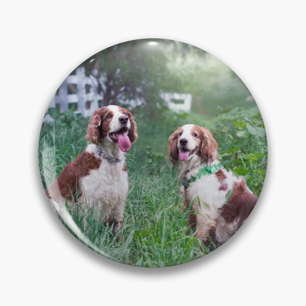Item preview, Resting Welshies...... designed and sold by Rowena Cherry Art.