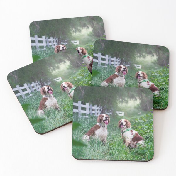 Item preview, Resting Welshies...... designed and sold by Rowena Cherry Art.