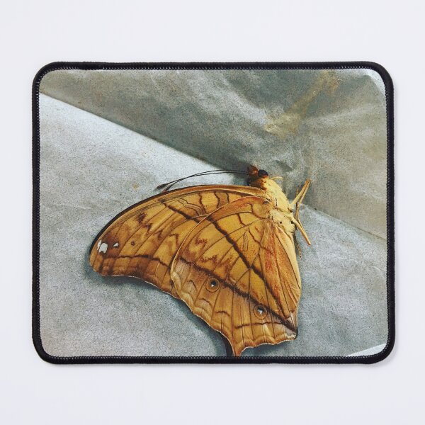 Item preview, Hearing high frequency sounds during the day. designed and sold by gemjem.
