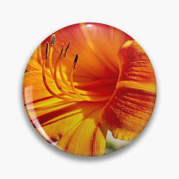 Item preview, bright orange Day Lily designed and sold by petaljoy.