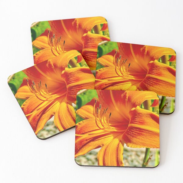 Item preview, bright orange Day Lily designed and sold by petaljoy.