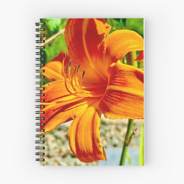 Item preview, bright orange Day Lily designed and sold by petaljoy.