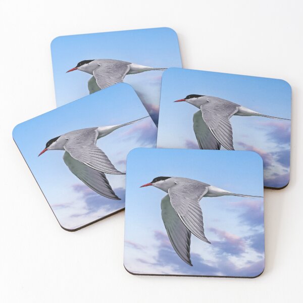 Item preview, Stunning Arctic Tern in Flight designed and sold by Tom McPherson Photography.