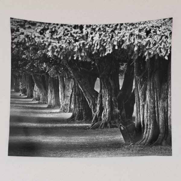Item preview, Hampton Court Gardens designed and sold by Didi Bingham.