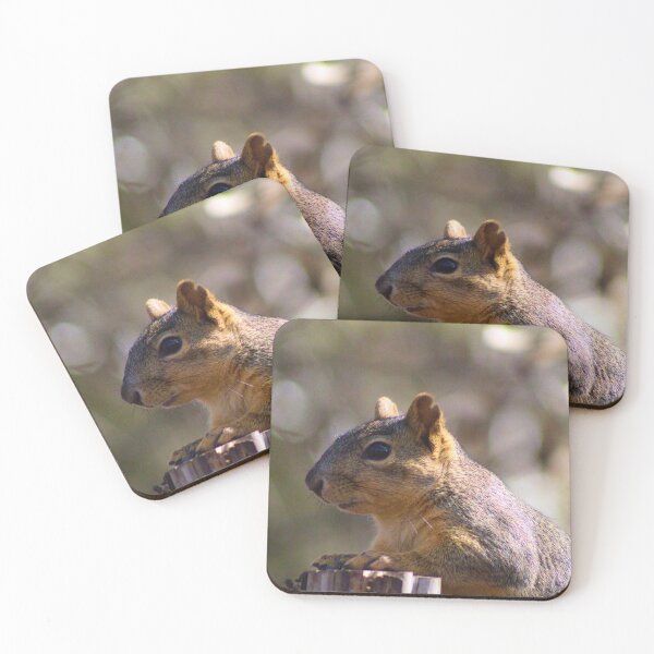 Item preview, Squirrel Climbing Fence Photograph designed and sold by BDavisPhotography.