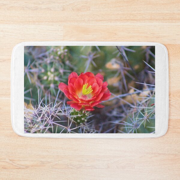 Item preview, Scarlett Hedgehog Cactus Flower Bloom Photograph designed and sold by BDavisPhotography.