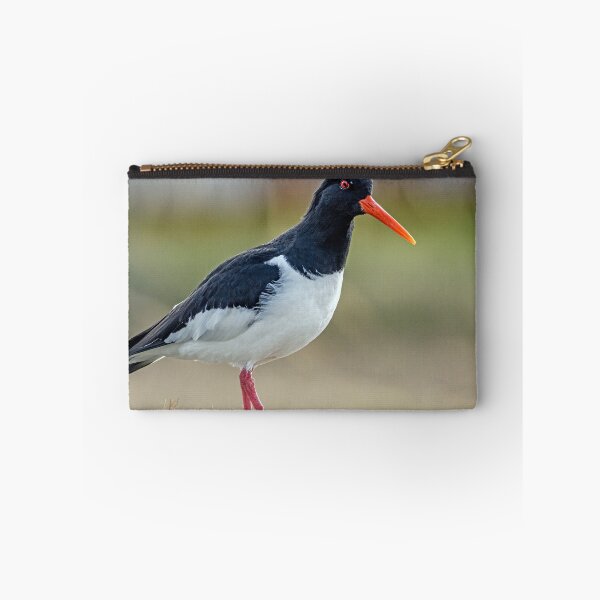 Item preview, Oystercatcher at Burghead Harbour designed and sold by Tom McPherson Photography.