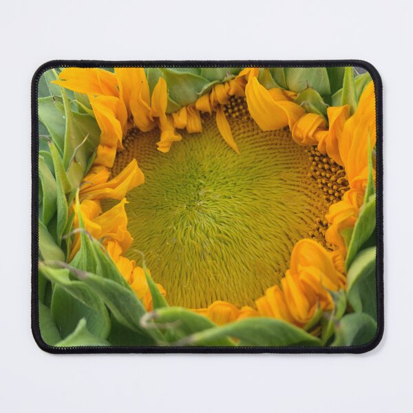 Item preview, upclose sunflower designed and sold by petaljoy.