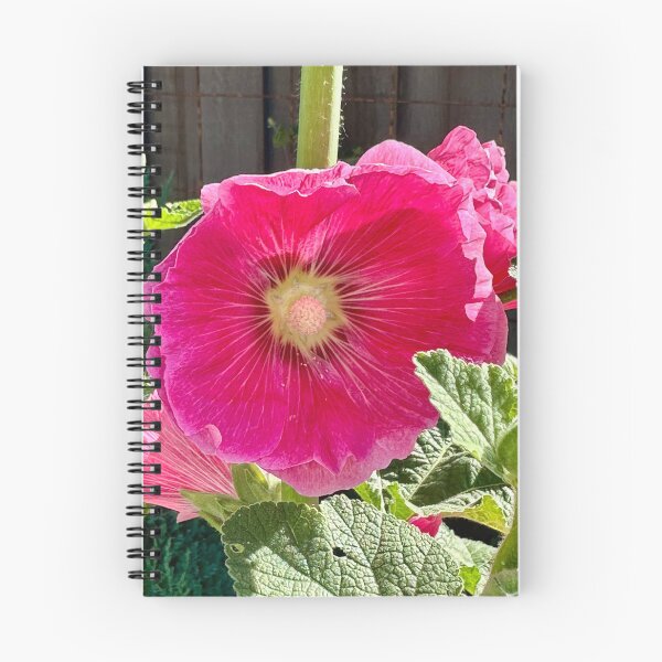 Item preview, Bright pink Hollyhock designed and sold by petaljoy.