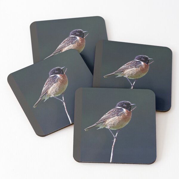 Item preview, European Stonechat designed and sold by Tom McPherson Photography.