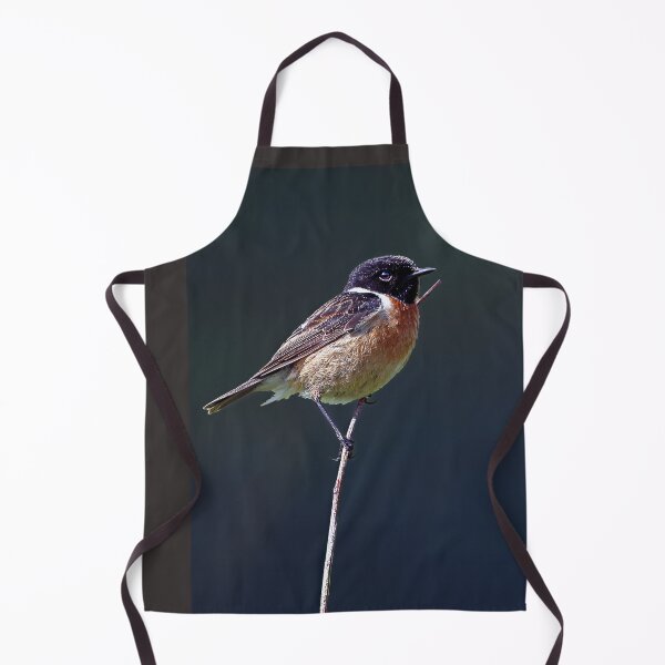 Item preview, European Stonechat designed and sold by Tom McPherson Photography.