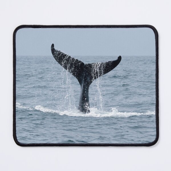 Item preview, Humpback Whale Tail Waterfall Coffs Harbour designed and sold by Barry Callister Photography.