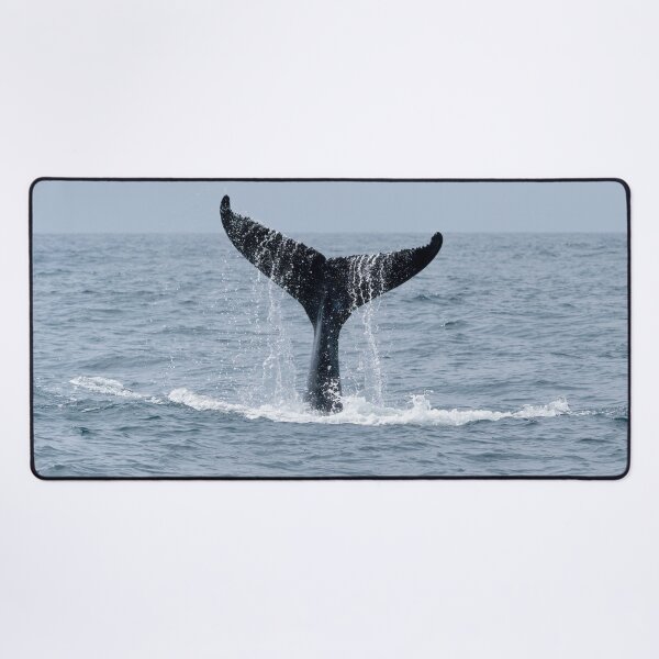 Item preview, Humpback Whale Tail Waterfall Coffs Harbour designed and sold by Barry Callister Photography.