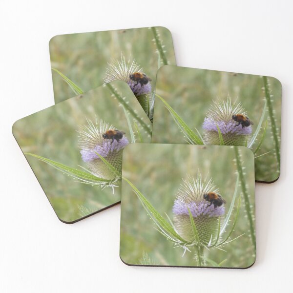 Item preview, Beautiful bee on purple thistle designed and sold by derbyshireduck.