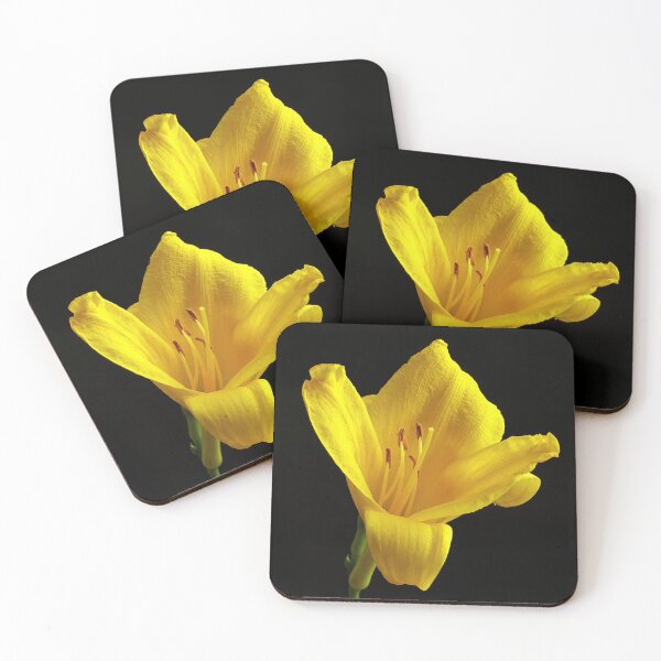 Item preview, Yellow Daylily designed and sold by Armadillo222.