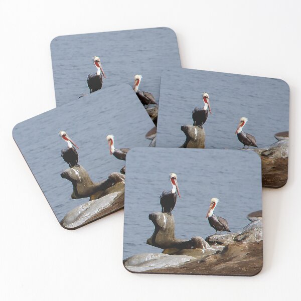 Item preview, San Diego Pelicans, Just Hanging Out! designed and sold by heatherfriedman.